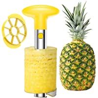 SameTech Herramienta de cocina fácil de acero inoxidable fruta piña Peeler Corer cortador